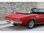 Thumbnail Photo 6 for 1967 Pontiac Firebird Convertible